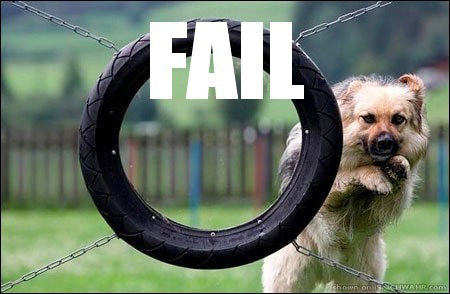 dog-fail-6.jpg